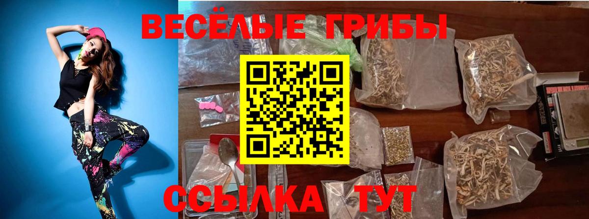 Рубцовск  Псилоцибиновые грибы мицелий  Вход с VPN 